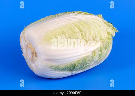 Brassica rapa (Brassica rapa pekinensis), Peking cabbage, Japanese cabbage, celery cabbage Stock Photo