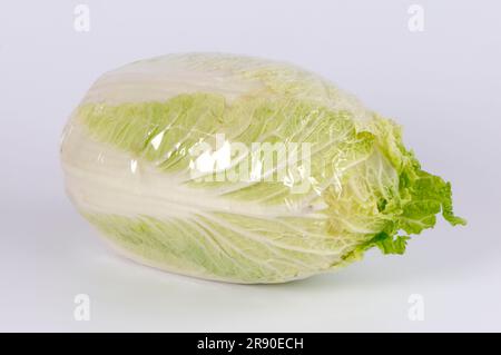 Brassica rapa (Brassica rapa pekinensis) in plastic film, Peking cabbage, Japanese cabbage, celery cabbage, plastic film Stock Photo