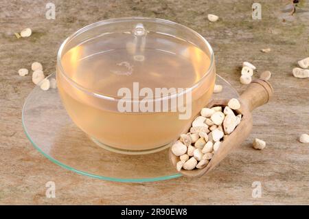 Cup of Pine Tuber Tea (Pinelliae Rhizoma), Ban Xia Stock Photo