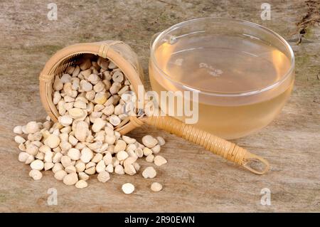 Cup of Pine Tuber Tea (Pinelliae Rhizoma), Ban Xia Stock Photo