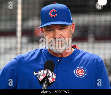 David Ross #3 Manager of the Chicago Cubs during an interview