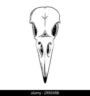 Crow skull sketch. Scary Halloween skull. Vector illustration isolated in white background Stock Vector