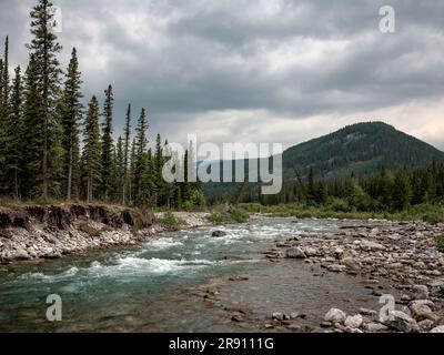 The natural beauty of Bragg Creek Provincial Park in Alberta, Canada. Stock Photo