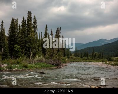 The natural beauty of Bragg Creek Provincial Park in Alberta, Canada. Stock Photo