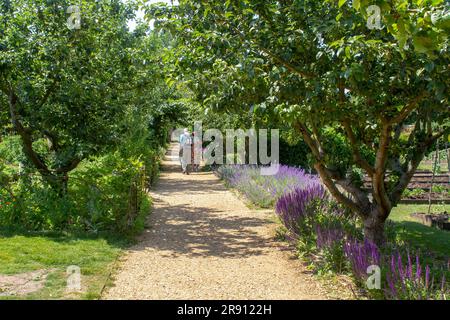 13 June 23 Visityors walk the gravel path from the carpark through the restored gardens at the Vyne mansion which is an historic Tudor Royal  Residenc Stock Photo