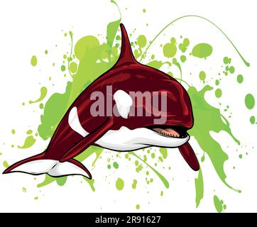 Killer Whale jumping out of water vector illustration isolated on white ...