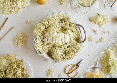 Fresh black elder flowers harvested in spring in a basket on a white table with metal straws Stock Photo