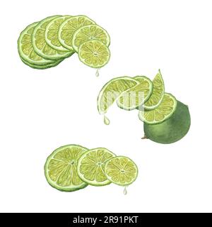 Concept of balance of fresh Lime slices and Drop of juice dripping from lime. Summer set of watercolor pictures isolated on white background. Stock Photo