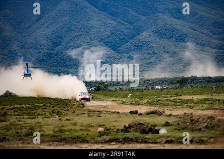 Naivasha, Kenya. 23rd June, 2023. Team Toyota Gazoo Racing Wrt, Toyota Gr Yaris Rally1 Hybrid, Atmosphere, Jun 22, 2023 in Naivasha, Kenya Credit: Live Media Publishing Group/Alamy Live News Stock Photo