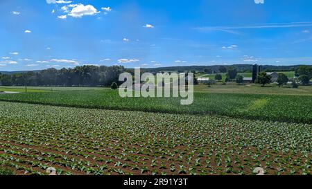 A View of a One Room School House in the Middle of Freshly Planted Farm Fields on a Beautiful Summer Day Stock Photo