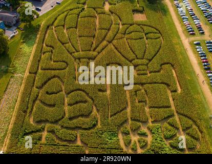 An Aerial Down View of a Corn Maze, Depicting Hot Air Balloons at a Festival on a Sunny Summer Day Stock Photo