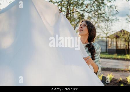 Woman drying white bedding sheet on clothesline in back yard Stock Photo