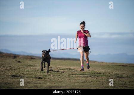 Smiling woman running with dog on grass Stock Photo