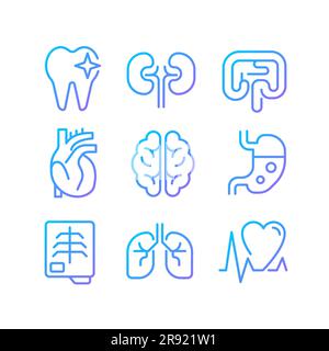 Organs regular checkup pixel perfect gradient linear vector icons set Stock Vector