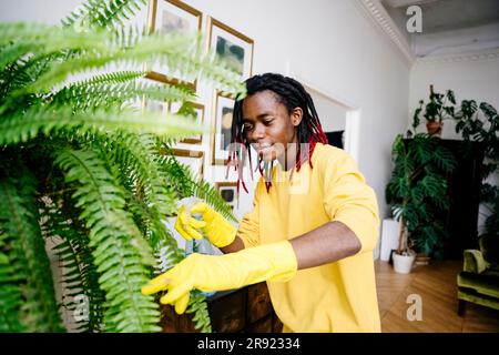 Young man spraying water on plant at home Stock Photo