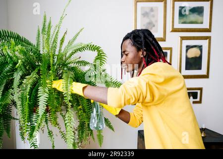 Young man taking care of plants at home Stock Photo