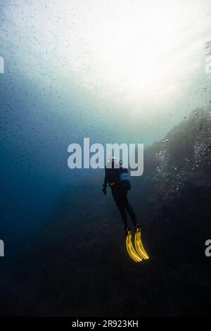 Young woman doing scuba diving undersea Stock Photo