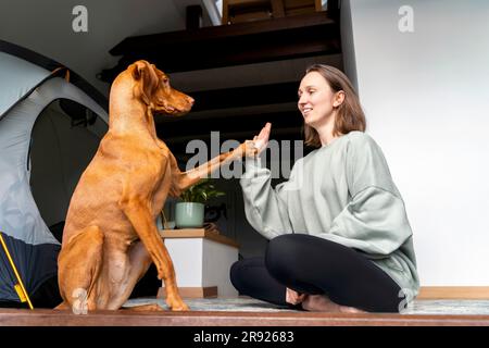 Woman Training Vizsla Dog Teaching Voice Command In Landscaped Autumn 