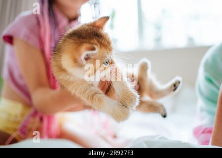 Girl playing with ginger kitten on bed at home Stock Photo
