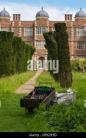 Doddington Hall Lincolnshire, growing sweet peas, fragrance, Victorian garden, trellis, wigwam shaped, poles tied together, binding with string climb. Stock Photo