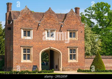 Doddington Hall Lincolnshire, growing sweet peas, fragrance, Victorian garden, trellis, wigwam shaped, poles tied together, binding with string climb. Stock Photo