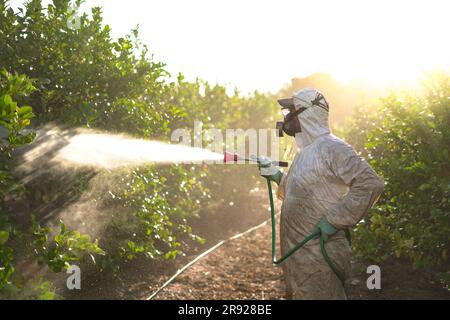 Farm worker spraying pesticide at sunrise Stock Photo