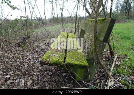 mossy wooden bench in nature, Germany, North Rhine-Westphalia, Ruhr Area, Castrop-Rauxel Stock Photo