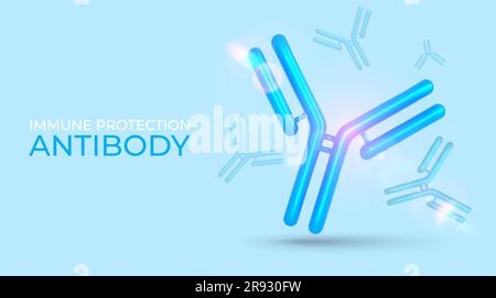 Antibody immunoglobulin molecule. Protective proteins. 3D medical icon ...