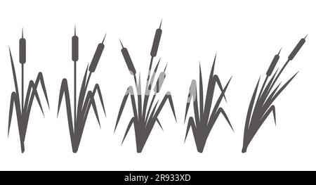 Silhouette of a reed in the grass. Swamp and river plants. Cattail isolated on white background. Vector flat illustration Stock Vector