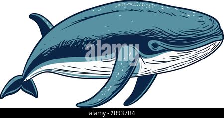 Cute whale design over white Stock Vector