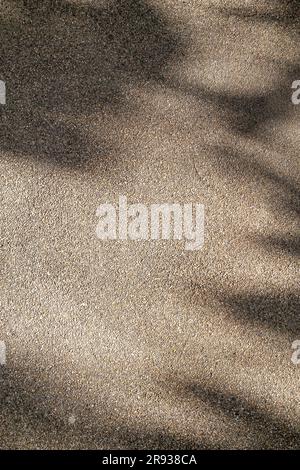 exposed aggregate finish texture background with sunlight shade Stock Photo
