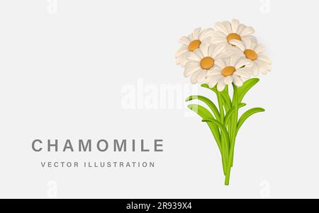 3D Cute colorful bunch of chamomiles. Daisy flower in cartoon style. Vector illustration. Stock Vector