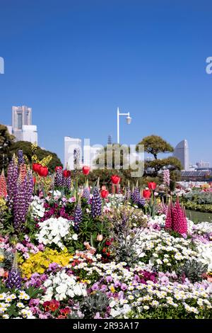 Yamashita Park in spring Stock Photo