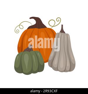 Vector autumn clipart pumpkins isolated from background. Cozy illustration of vegetables for sublimation, postcards and stickers. Gardening picture. Stock Vector