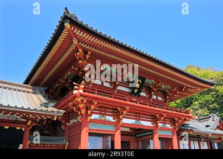 Main Shrine of Tsuruoka Hachimangu Shrine Stock Photo