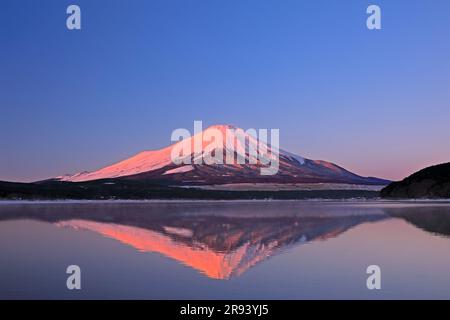 Mt. Fuji and Lake Yamanaka at sunrise Stock Photo