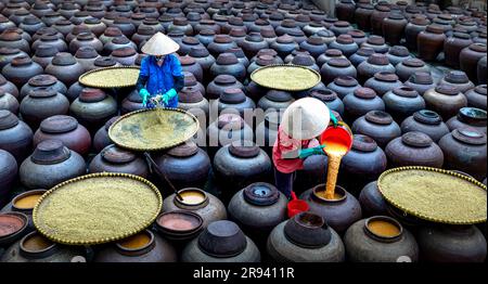 Traditional soy sauce factory, where soya beans are fermented to produce the soy sauce which is used in Vietnam cooking at a soy sauce factory in Hun Stock Photo