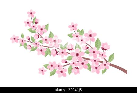 Pink cherry tree branch with flowers, buds and leaves isolated on white background. Vector illustration of sakura branch in flat style Stock Vector