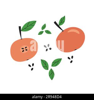 Red doodle cartoon apples set with green leaves and seeds. Colorful tree fruits from farm. Stock Vector