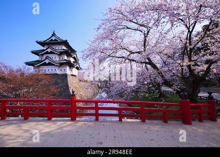 Cherry blossoms at Hirosaki Castle and Shimonori Bridge Stock Photo