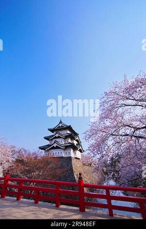 Cherry blossoms at Hirosaki Castle and Shimonori Bridge Stock Photo