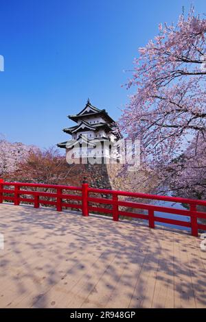 Cherry blossoms at Hirosaki Castle and Shimonori Bridge Stock Photo