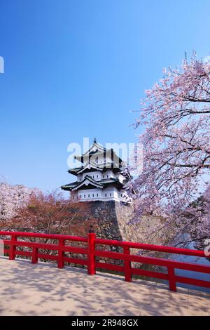 Cherry blossoms at Hirosaki Castle and Shimonori Bridge Stock Photo