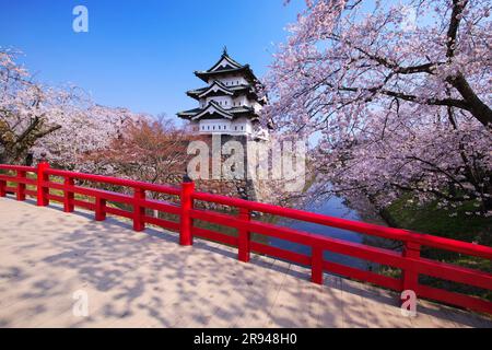 Cherry blossoms at Hirosaki Castle and Shimonori Bridge Stock Photo