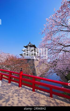 Cherry blossoms at Hirosaki Castle and Shimonori Bridge Stock Photo