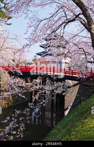 Cherry blossoms at Hirosaki Castle and Shimonori Bridge Stock Photo