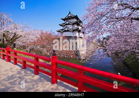 Cherry blossoms at Hirosaki Castle and Shimonori Bridge Stock Photo