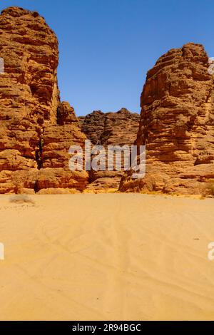 Stone forest. A sandstone rock anf cliffs formations in astonishing shapes. Tadrart mountains. Tassili N'Ajjer National Park. Alger Stock Photo