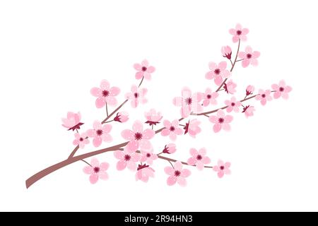 Pink cherry blossom branch isolated on white background. Vector illustration of sakura branch in flat style Stock Vector