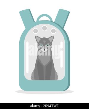 A gray cat sitting in a blue carrier backpack with a transparent window on a white background. Flat vector illustration Stock Vector